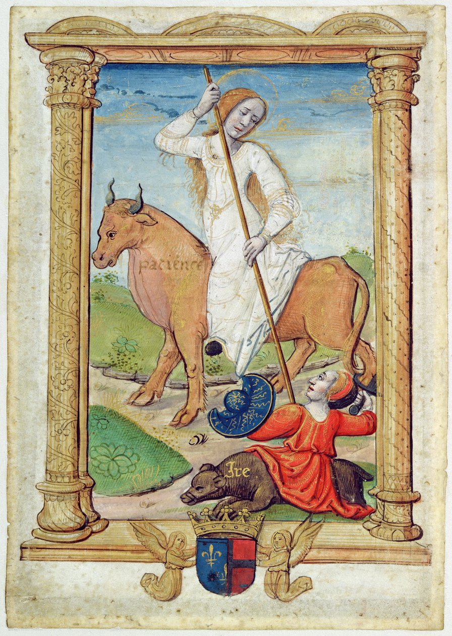 CL 22718D Patience Against Wrath, a 