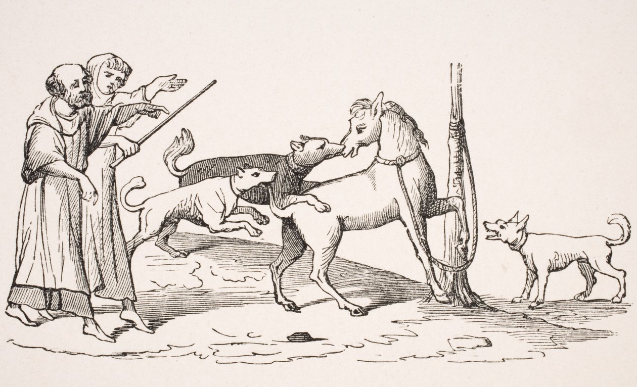 Harc ló és kutyák között, miniatűr reprodukciója egy 13. századi kéziratban, Paul Lacroix (1806-84) „Le Moyen Age et La Renaissance” című művéből, 1847-ben megjelent alkotó: French School