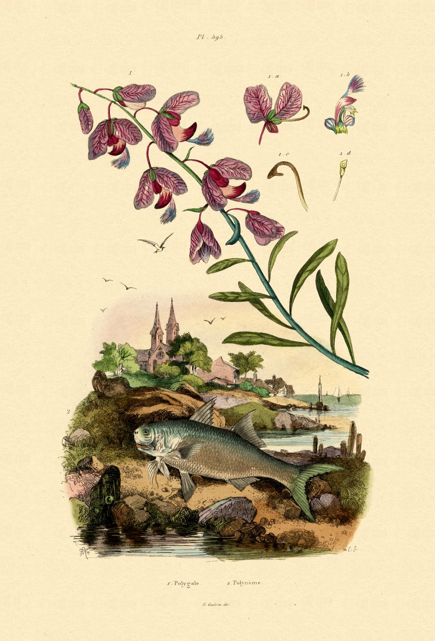 Végső, 1833-39 alkotó: French School