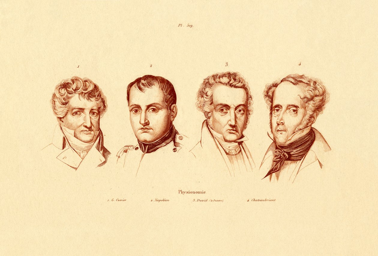 Fej, 1833-39 alkotó: French School