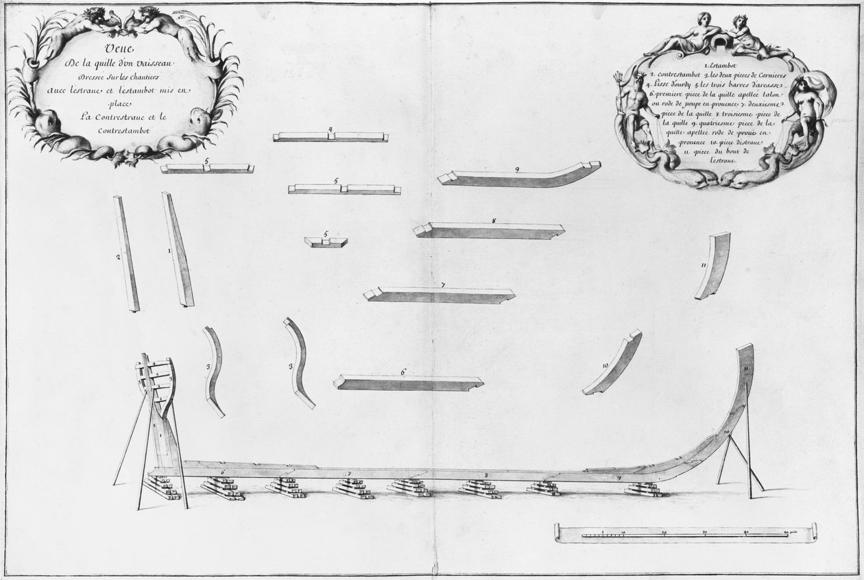 Edény kele, illusztráció az Atlas de Colbertből, 2. tábla (ceruza és WC papíron) alkotó: French School