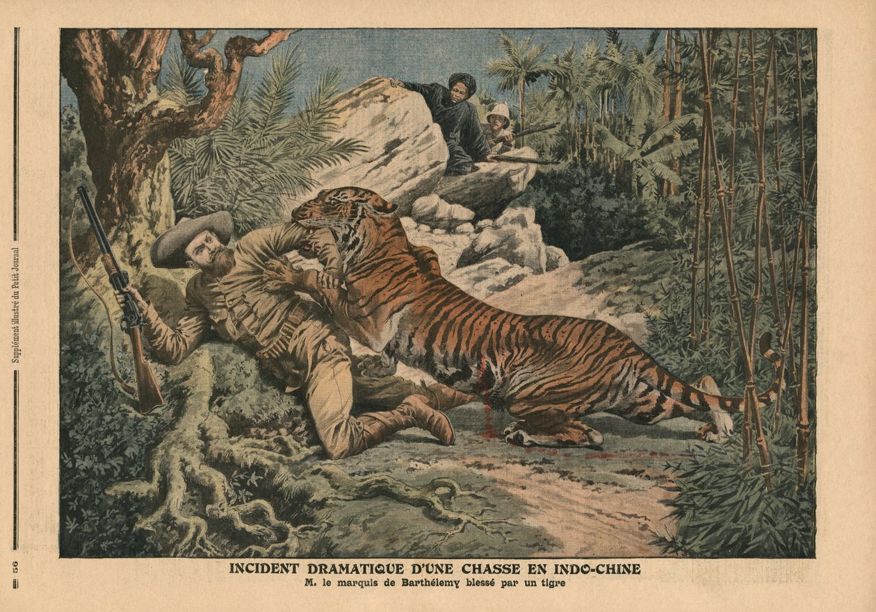 Barthelemy márki egy tigris által megsebesült, illusztráció a 