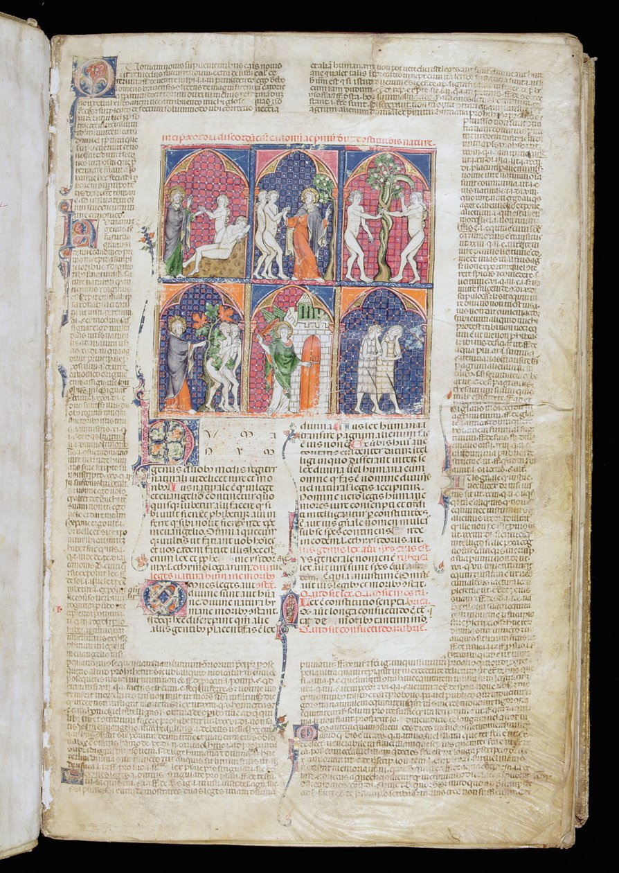 Ms. 262, f.1r: A teremtés és a bukás hat jelenete Gratianus Decretumjából, 1300 körül alkotó: French School