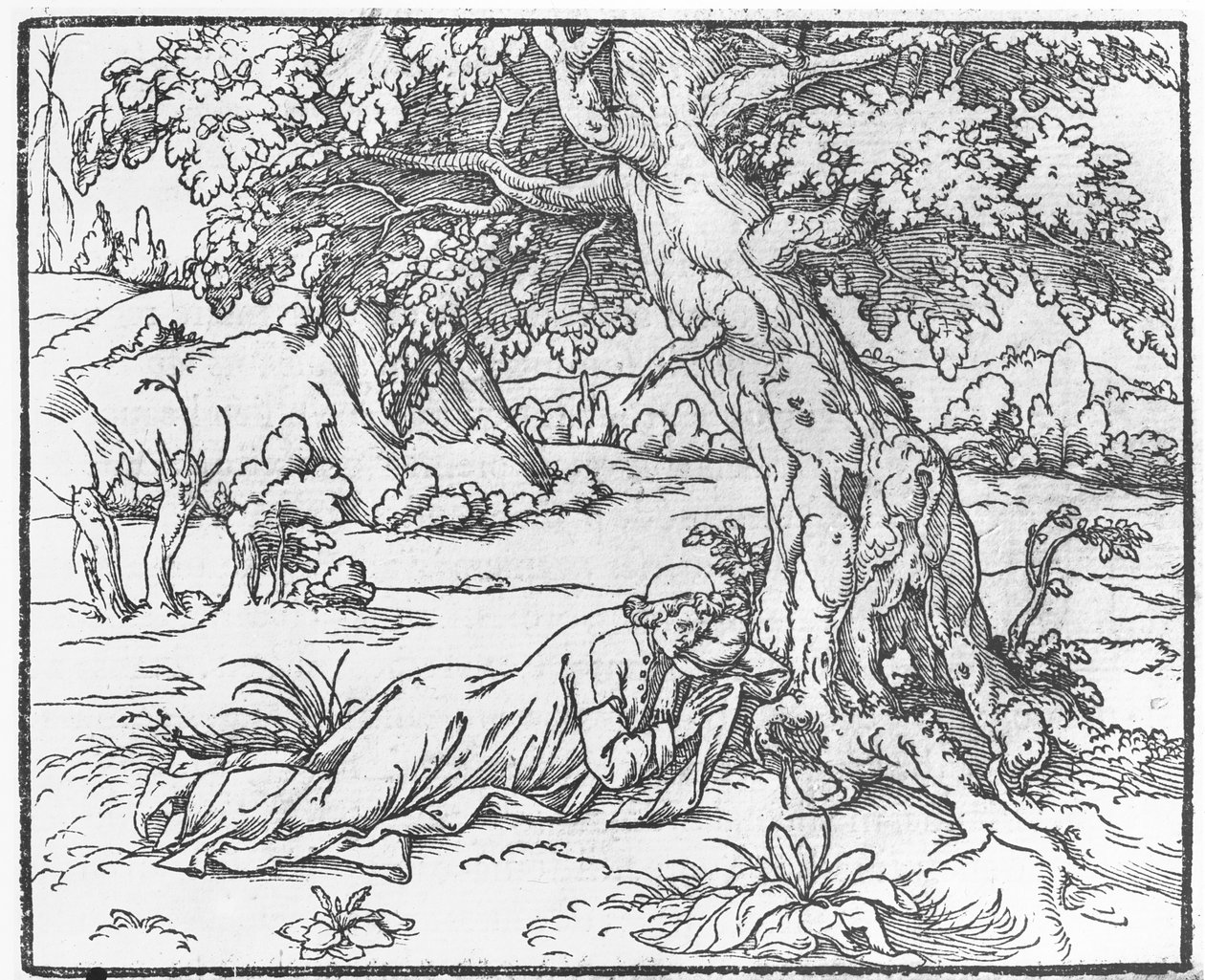 Oldal a Poliphile álom beszédéből, Francesco Colonna, 1546 alkotó: French School