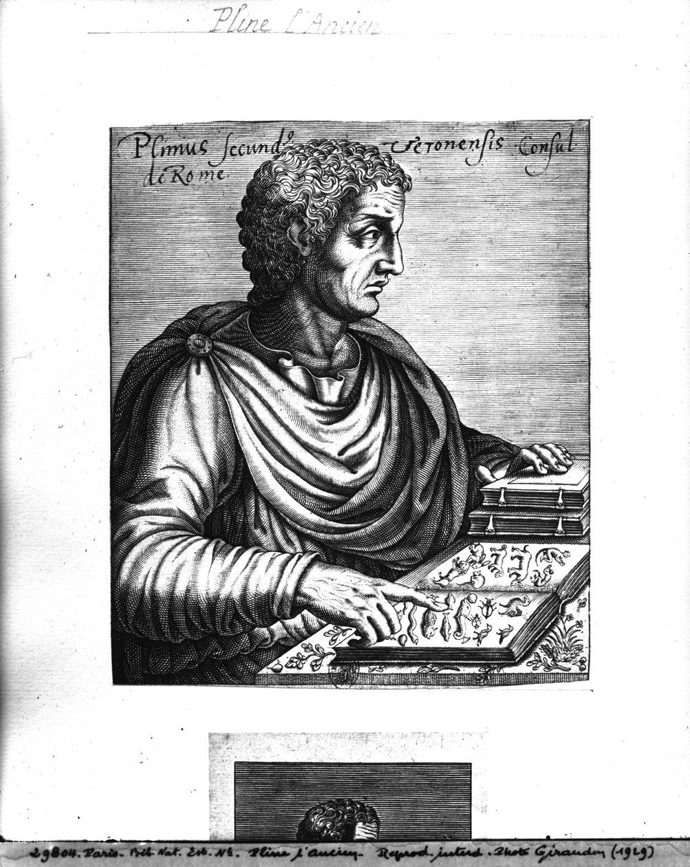 Idősebb Plinius (i.sz. 23-79) alkotó: French School