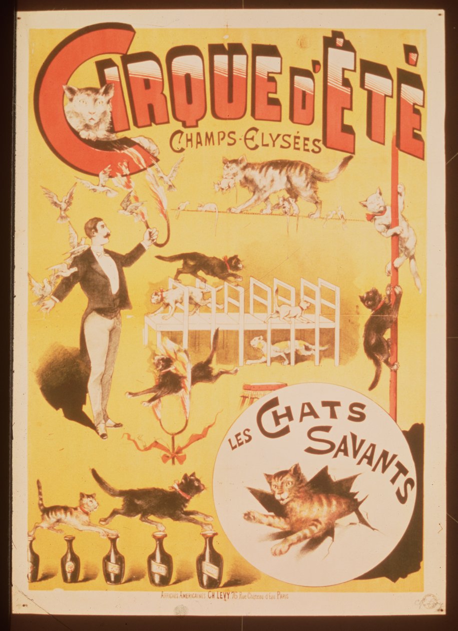 A Cirque d