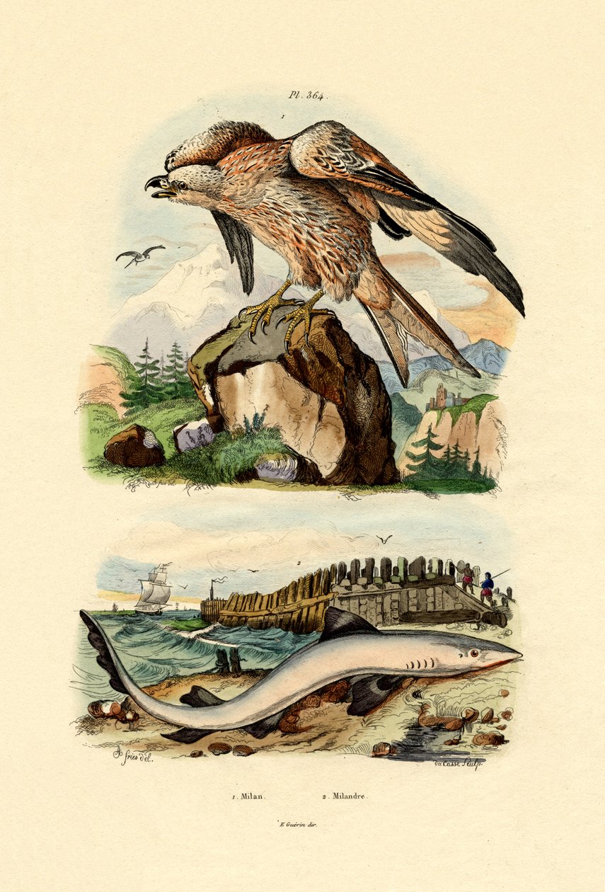 Vörös sárkány, 1833-39 alkotó: French School