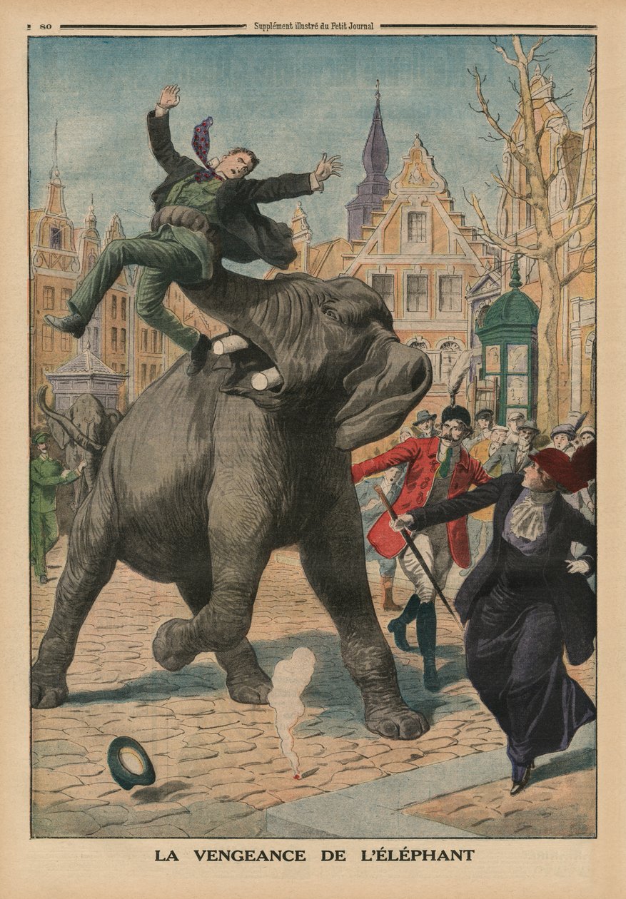 Egy elefánt bosszúja, a Le Petit Journal hátsó borítójának illusztrációja, illusztráció melléklete, 1914. március 8. alkotó: French School