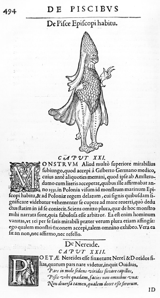 Tengeri szörny, illusztráció Guillaume Rondelet „A halak könyveiből”, 1554. alkotó: French School