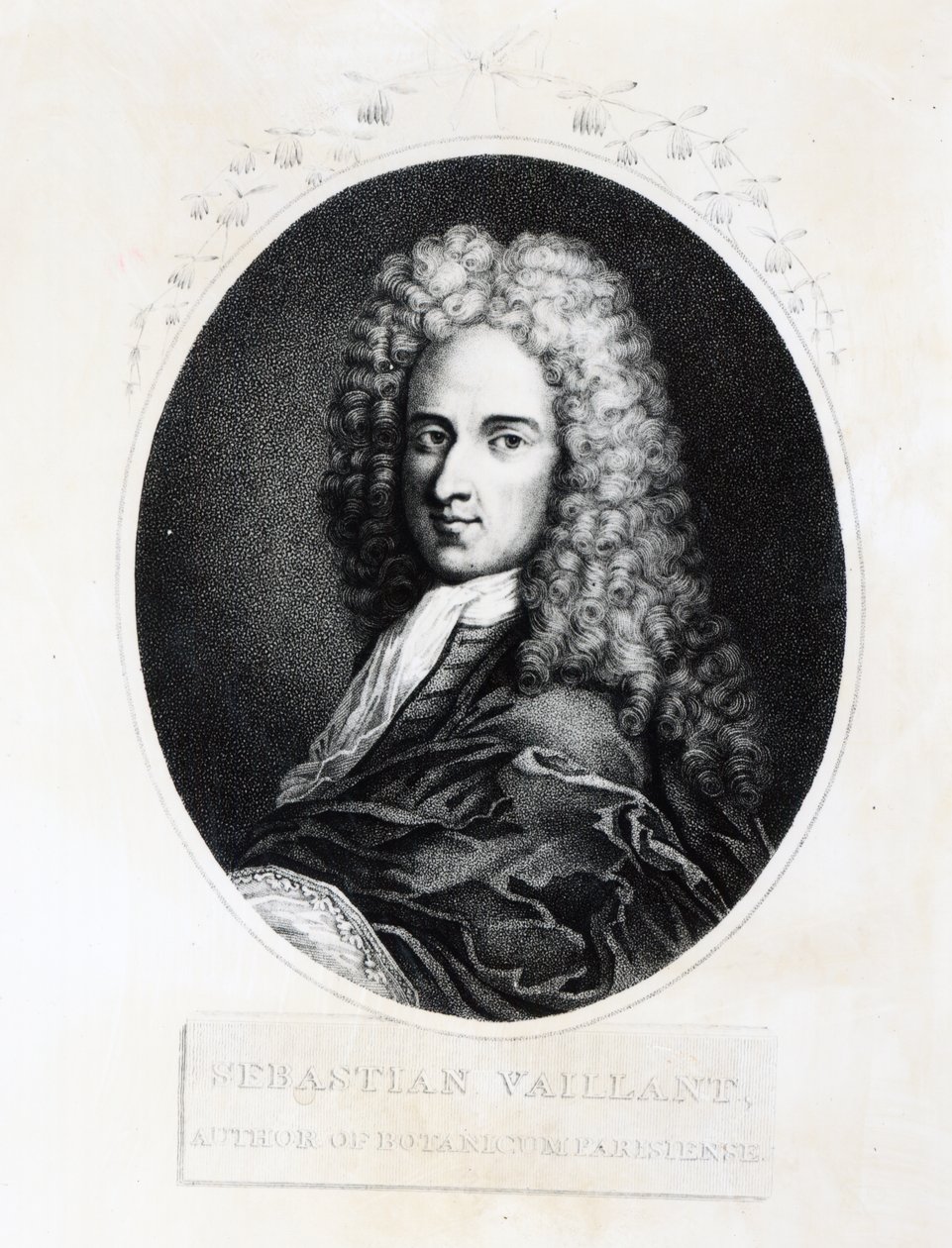 Sebastien Vaillant alkotó: French School