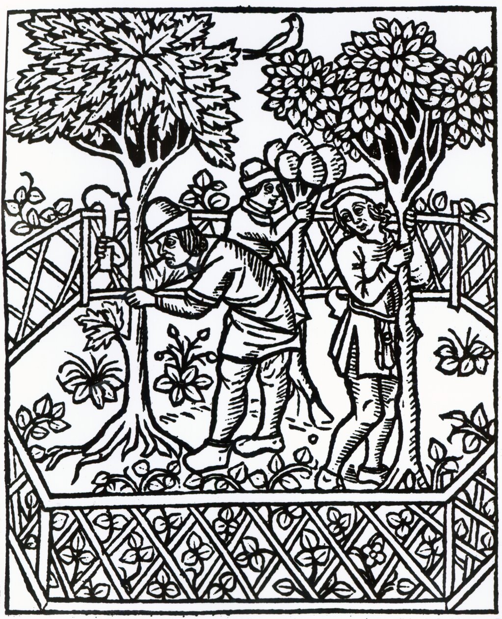 Szőlőgondozás Petrus de Crescentiis „Livre des prouffits champetres”-ből, 1529-ben megjelent kiadás alkotó: French School