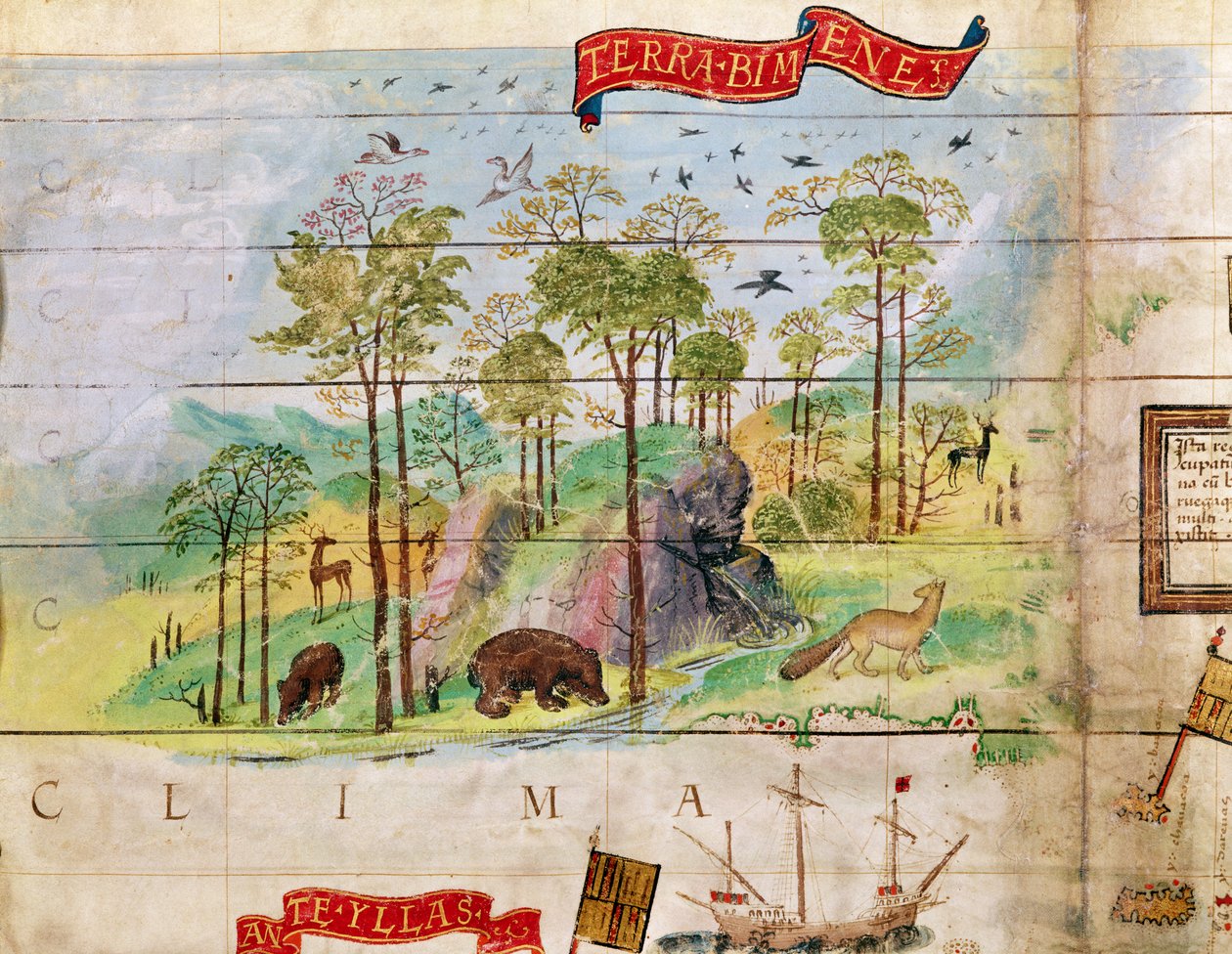 A kanadai erdő, részlet az Atlanti-óceán térképéről, 1519 alkotó: French School