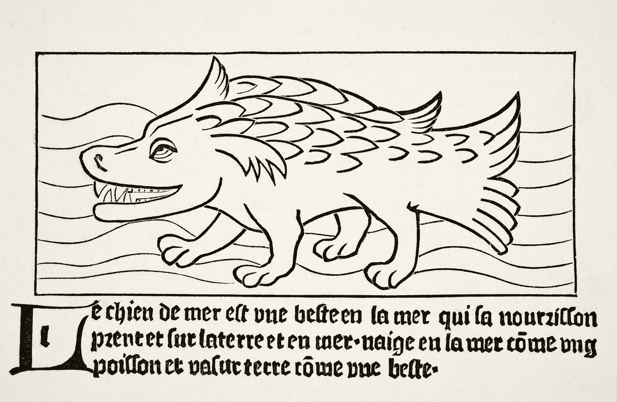 The Sea-Dog, Paul Lacroix (1806-84) „Tudomány és irodalom a középkorban” című művéből, 1878-ban jelent meg Londonban. alkotó: French School