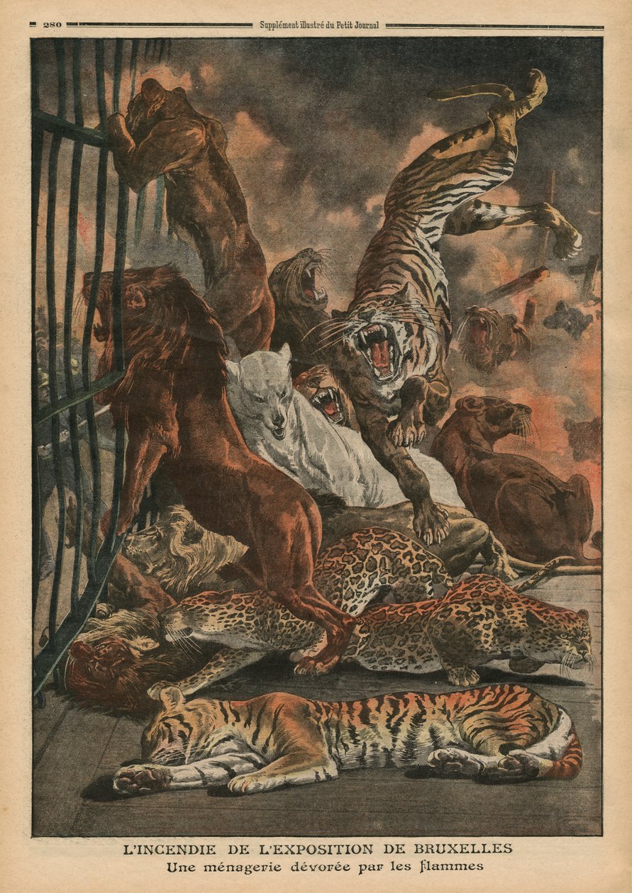 A brüsszeli világkiállításon keletkezett tűz, egy menazséria a lángok martalékává válik, illusztráció a "Le Petit Journal", supplement illustre, 1910. augusztus 28. alkotó: French School