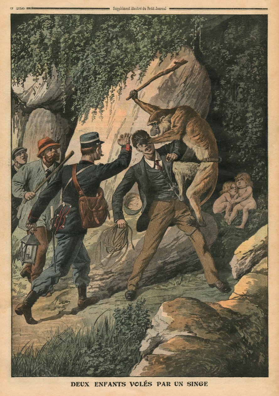 Két gyereket lopott el egy nőstény majom, illusztráció a „Le Petit Journal”-ból, mellékelt illusztráció, 1910. augusztus 7. alkotó: French School