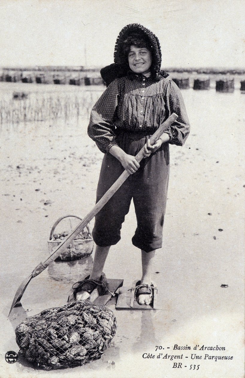 Arcachon-medence: osztrigaparcellázó gép - képeslap alkotó: French Photographer