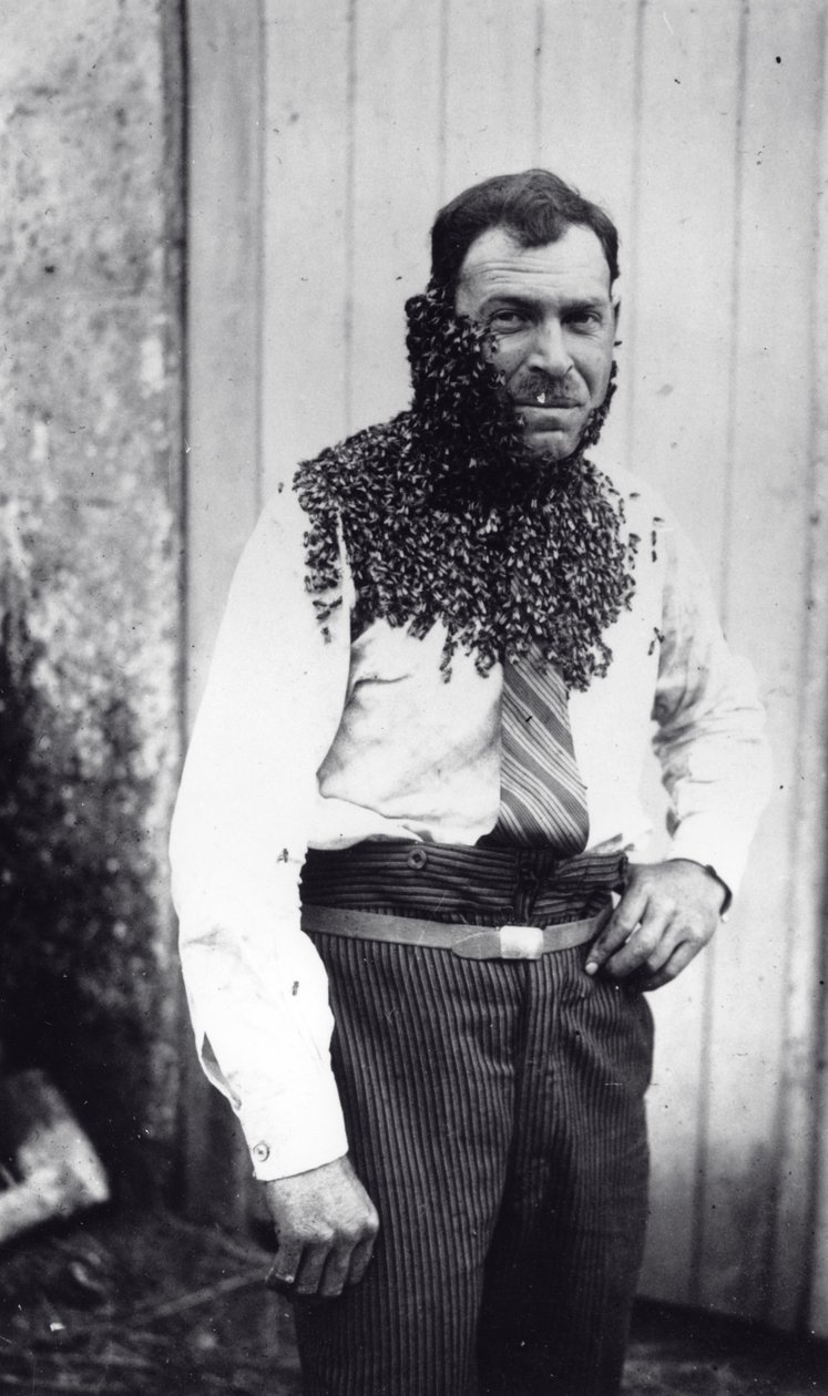 Méhész Angel Peuchaud méhekkel borítva Angouleme-ban, Charentes, Franciaországban alkotó: French Photographer