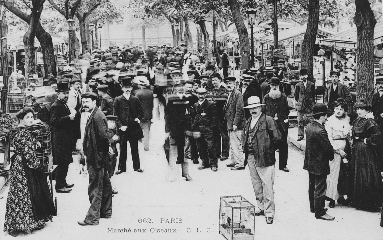Madárpiac, Párizs alkotó: French Photographer