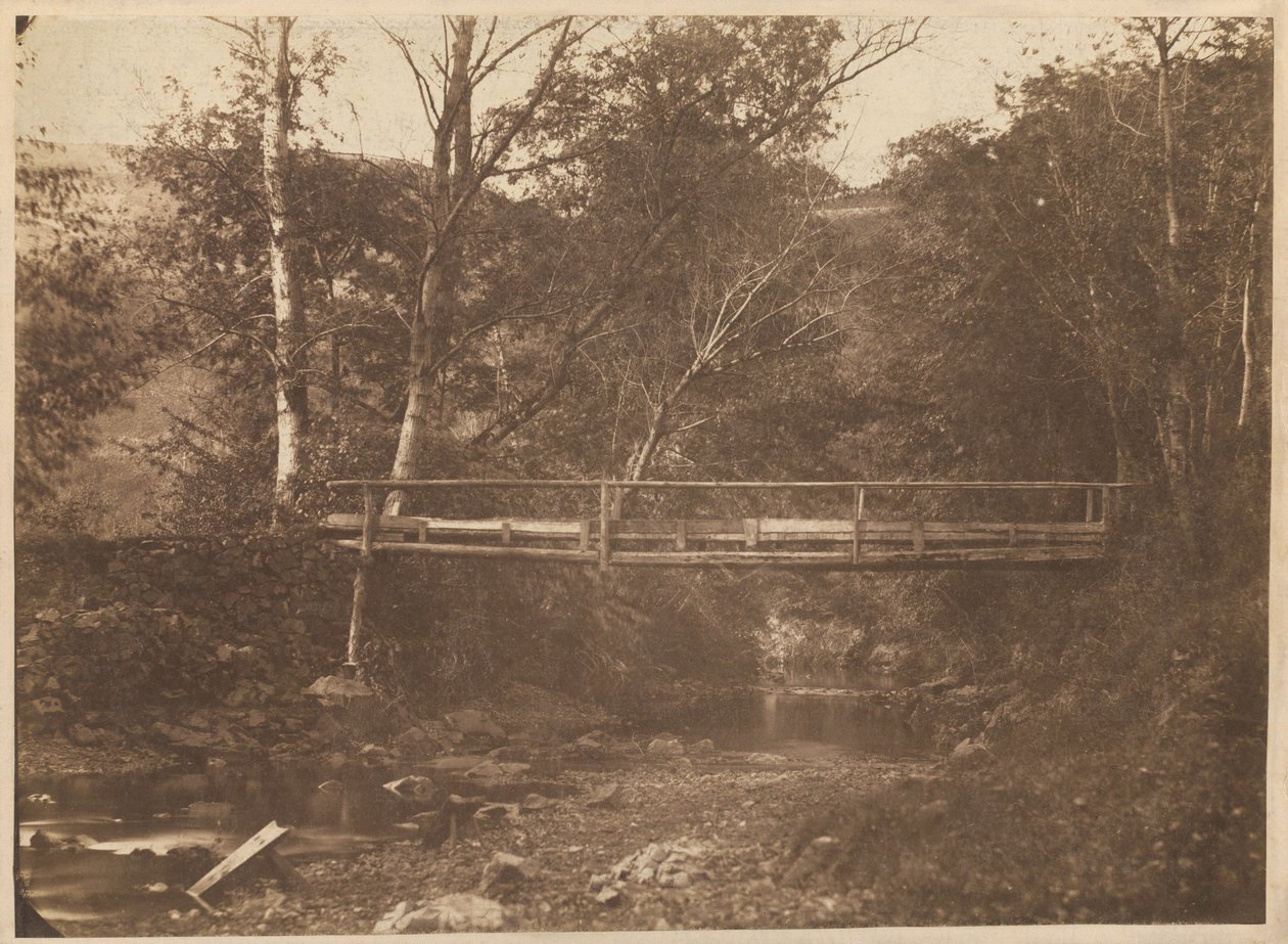 Tájkép fákkal és híddal,c. 1850 (fotó) alkotó: French Photographer