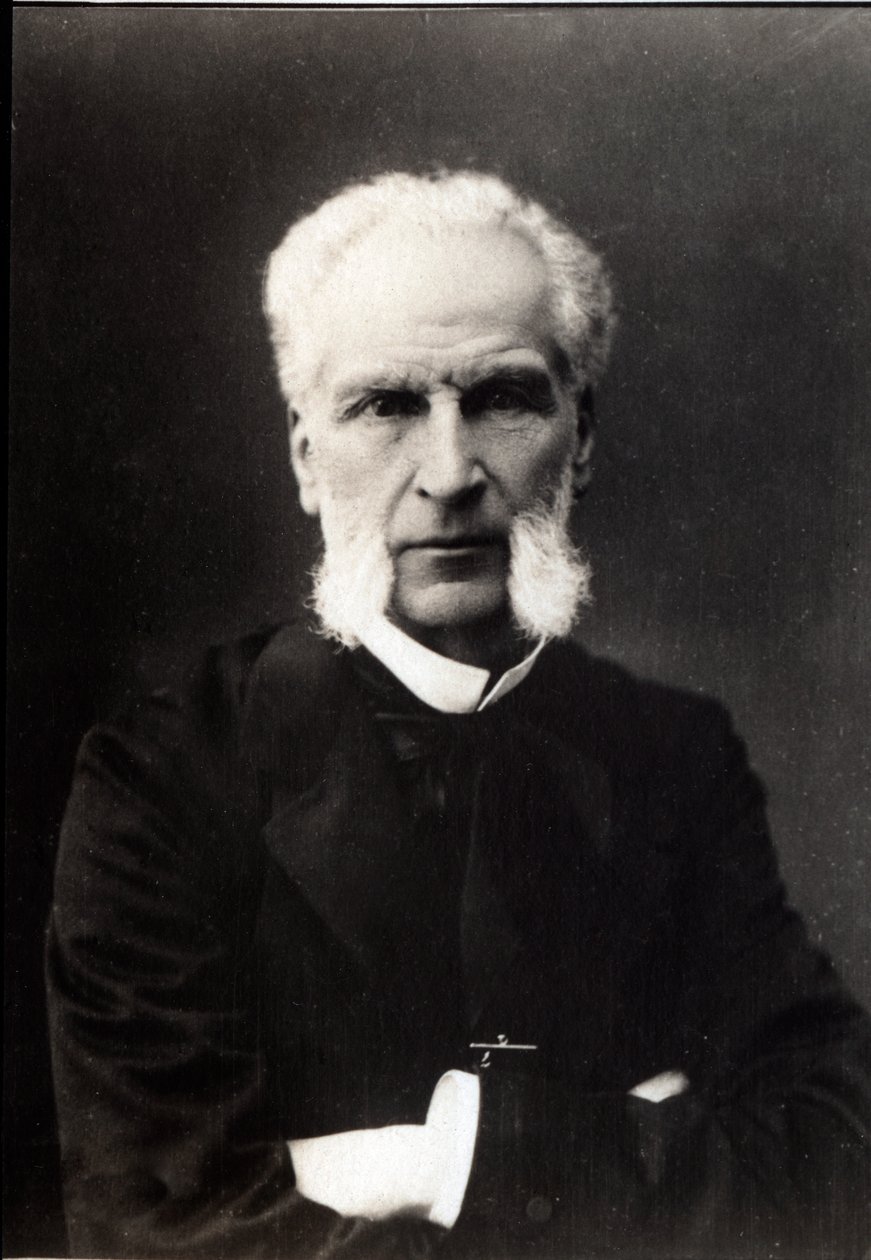 Aime Joseph Edmond Rousse (1817-1906) francia ügyvéd portréja. alkotó: French Photographer