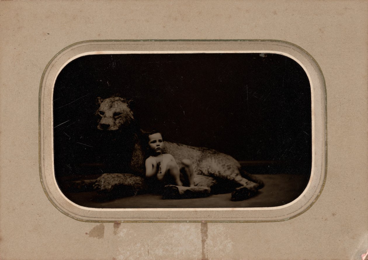 Egy gyermek portréja,c. 1860 (fotó) alkotó: French Photographer