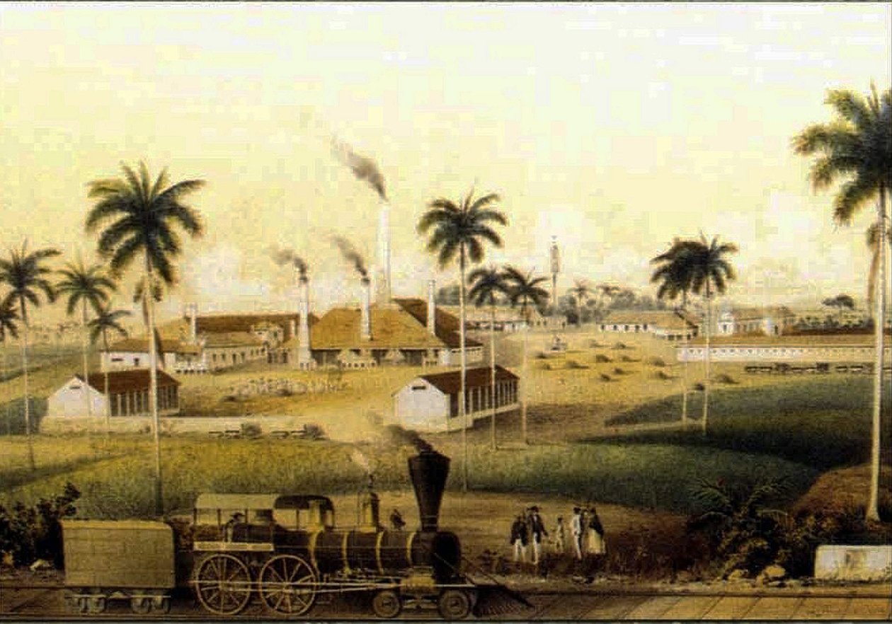 14784N Rum gyártása a karibi kollekcióban alkotó: French School