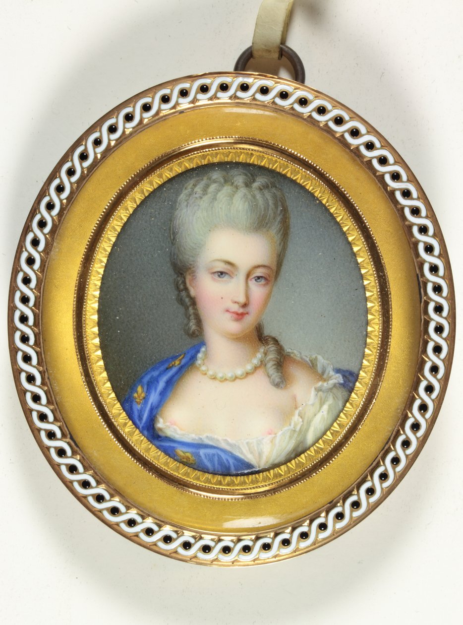 Egy Bourbon hercegnő, Marie-Louise-Elisabeth d