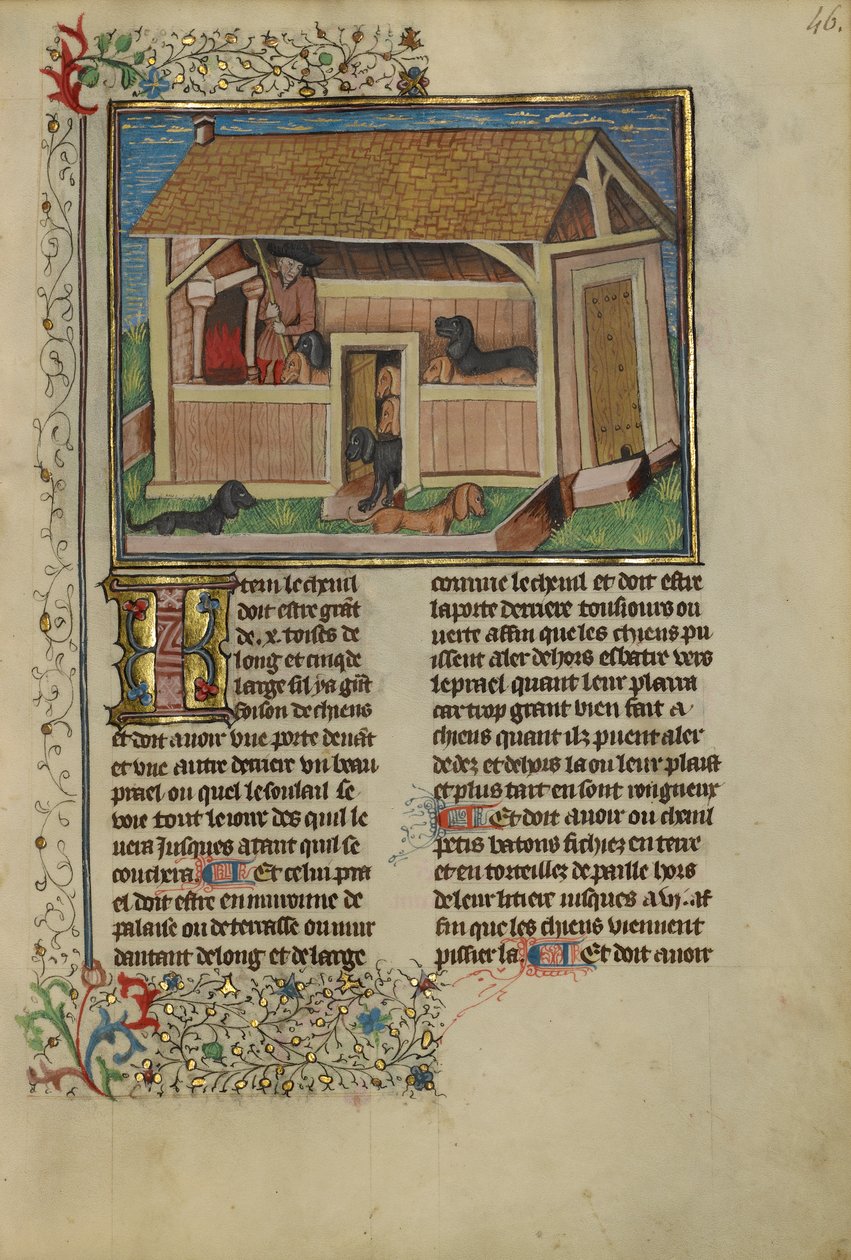 Kenneled kutyákat ápoló vadász, 1430-40 körül (tempera, arany, ezüst festék és levél pergamenen) alkotó: French School