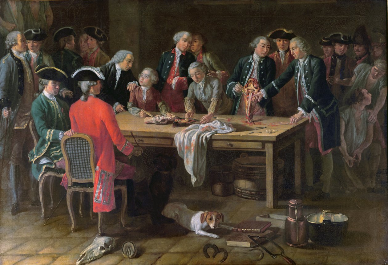 Lecke a hippiatriai anatómiából Philippe-Etienne Lafosse-tól (1738-1820) alkotó: French School