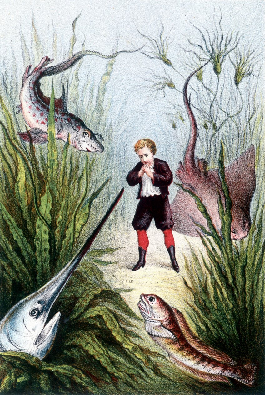 Egy fiú óriáshalakkal körülvéve - H. de la Blanchère "Utazás a tenger fenekére" című művében. Párizs, szerk. Jouvet et Cie, sd. 1880. (dupla 02941) alkotó: French School