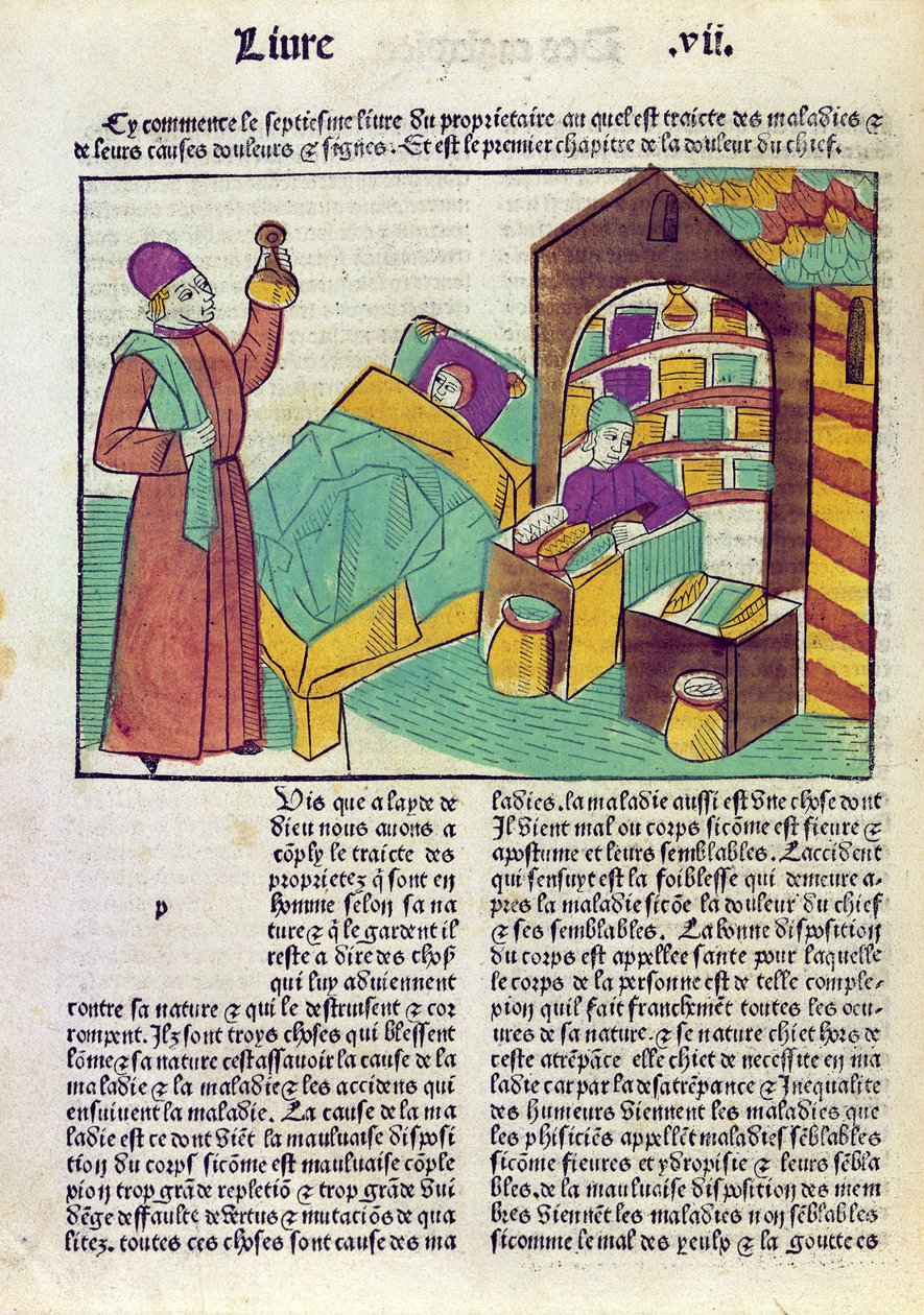 Egy beteg orvossal és gyógyszerészsel, Barthelemy lAnglais Le Livre des Proprietes des Choses-ból, 1485 (színes fametszet) alkotó: French School