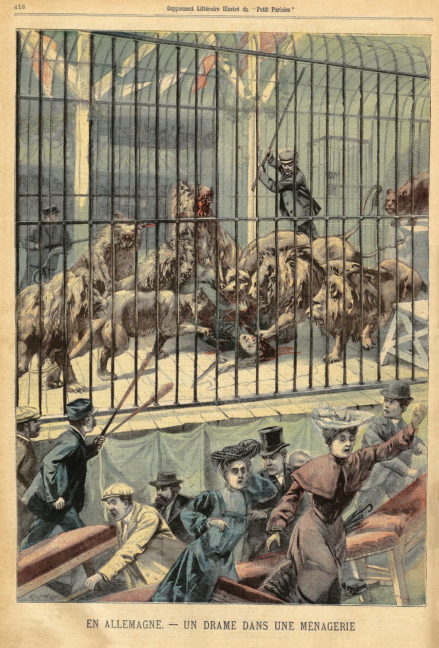 Egy szelídítőt felfalnak az oroszlánjai egy menazsériában a németországi Dessauban. Metszet a „Le Petite Parisien”-ben, 1903.12.27. alkotó: French School