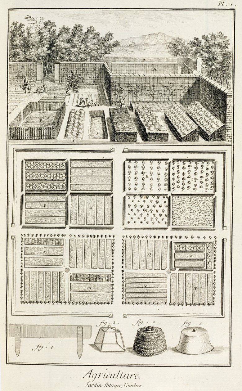 Egy veteményeskert, Denis Diderot (1713-84) Tudomány, Művészet és Mérnöki Enciklopédia című könyvéből, 1770 körül alkotó: French School