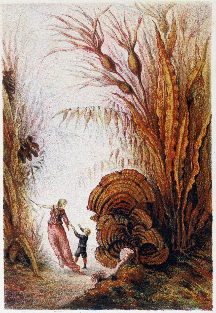 Egy nő és egy fiú sétál a víz alatti világban - H. de la Blanchère "Utazás a tenger fenekére" című művében. Párizs, szerk. Jouvet et Cie, sd. 1880. alkotó: French School