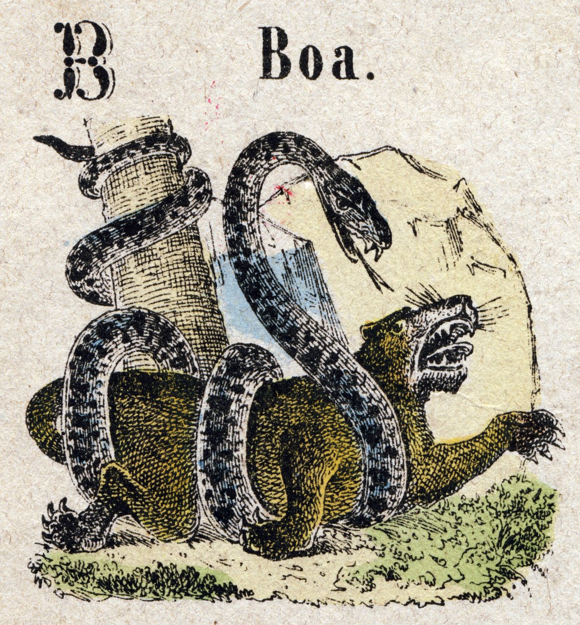 Abecedary. B betű, mint Boa. Kis enciklopédikus ábécé, népszerű sorozat. Epinális képalkotás, 19. század vége alkotó: French School