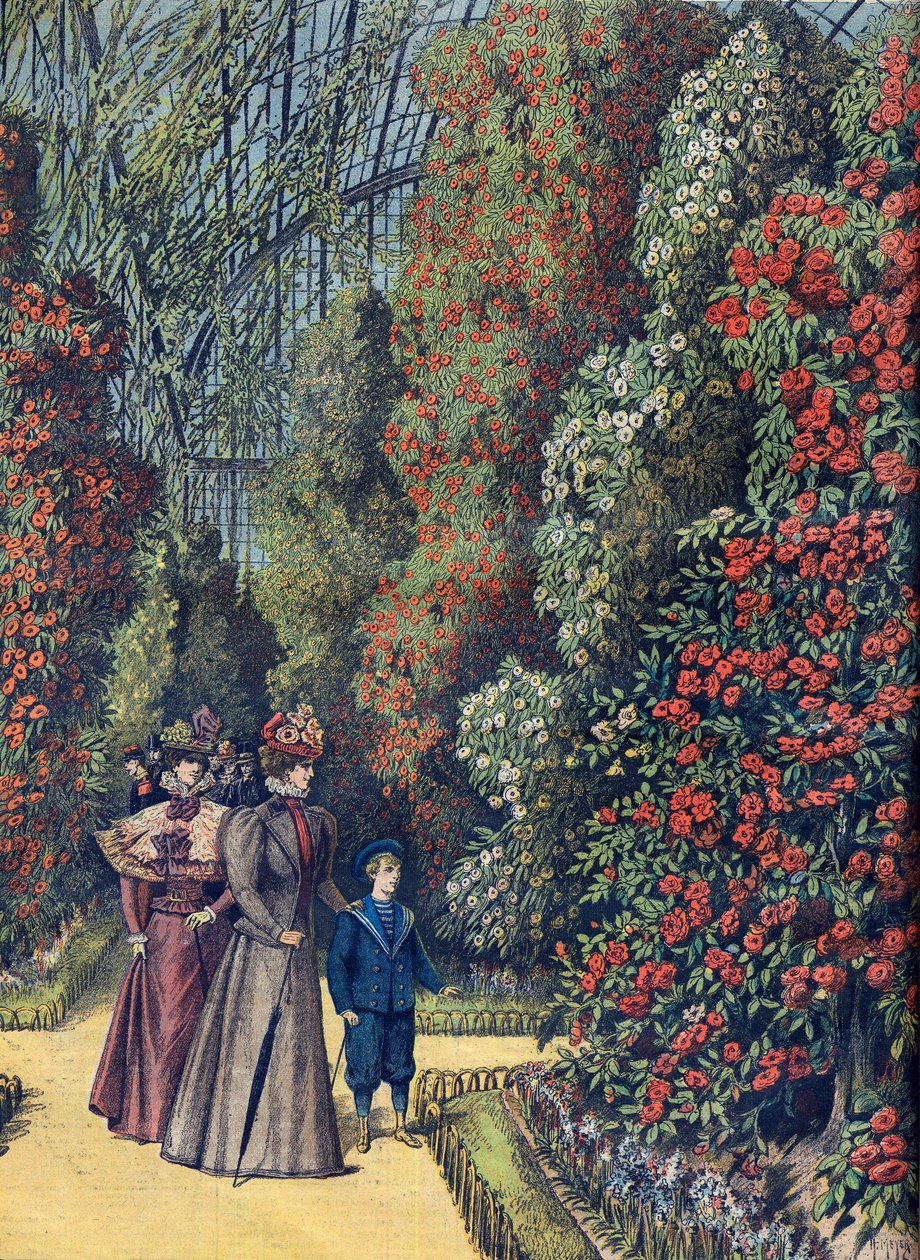 Akklimatizációs kert - la serre des camelias - Kamélia üvegház a botanikus kertben alkotó: French School