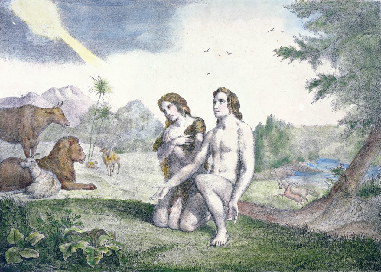 Ádám és Éva az Édenkertben, 19. század vége (színes metszet) alkotó: French School