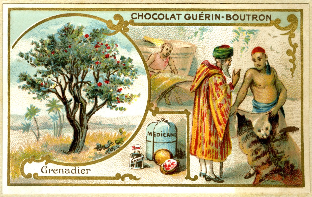 Guérin Boutron csokoládék reklámkromolitográfiája (kromolitográfia) alkotó: French School