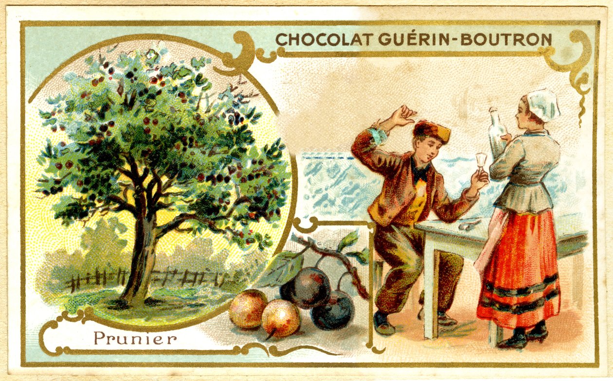 Guérin Boutron csokoládék reklámkromolitográfiája (kromolitográfia) alkotó: French School