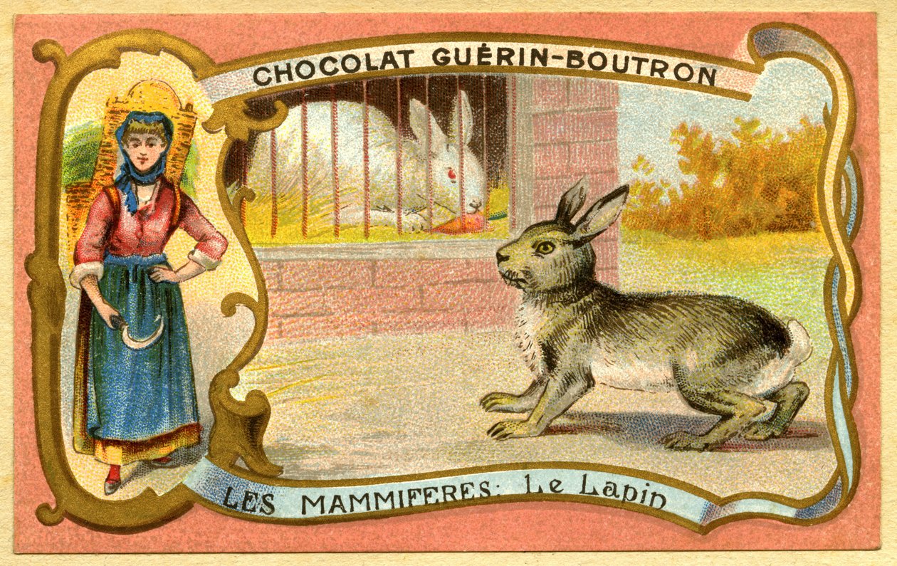 Csokoládék reklámkromolitográfiája Guerin Boutron, Emlősök, A nyúlketrec és a vad, Warren alkotó: French School