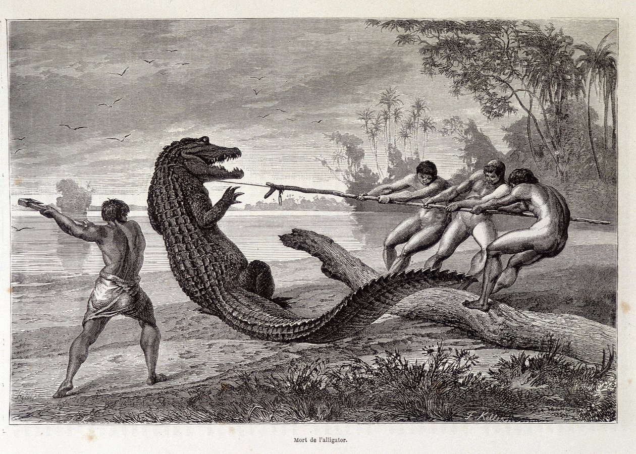 Aligátorvadászat, Brazília, „A világ körül”” 1874. második hete. alkotó: French School
