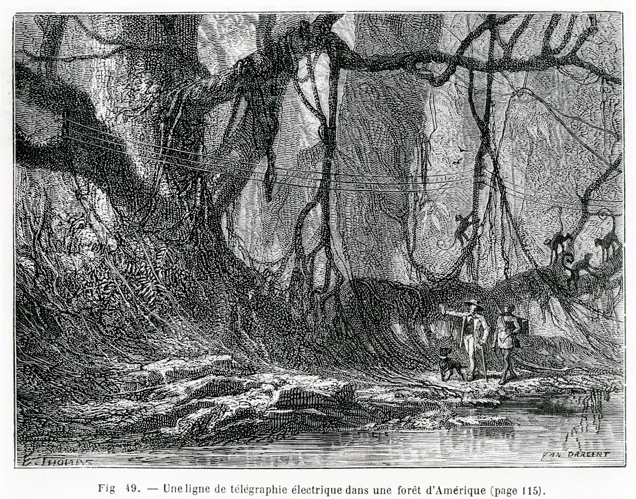 Elektromos távíróvezeték egy amerikai erdőben, 1870 körül (metszet) alkotó: French School