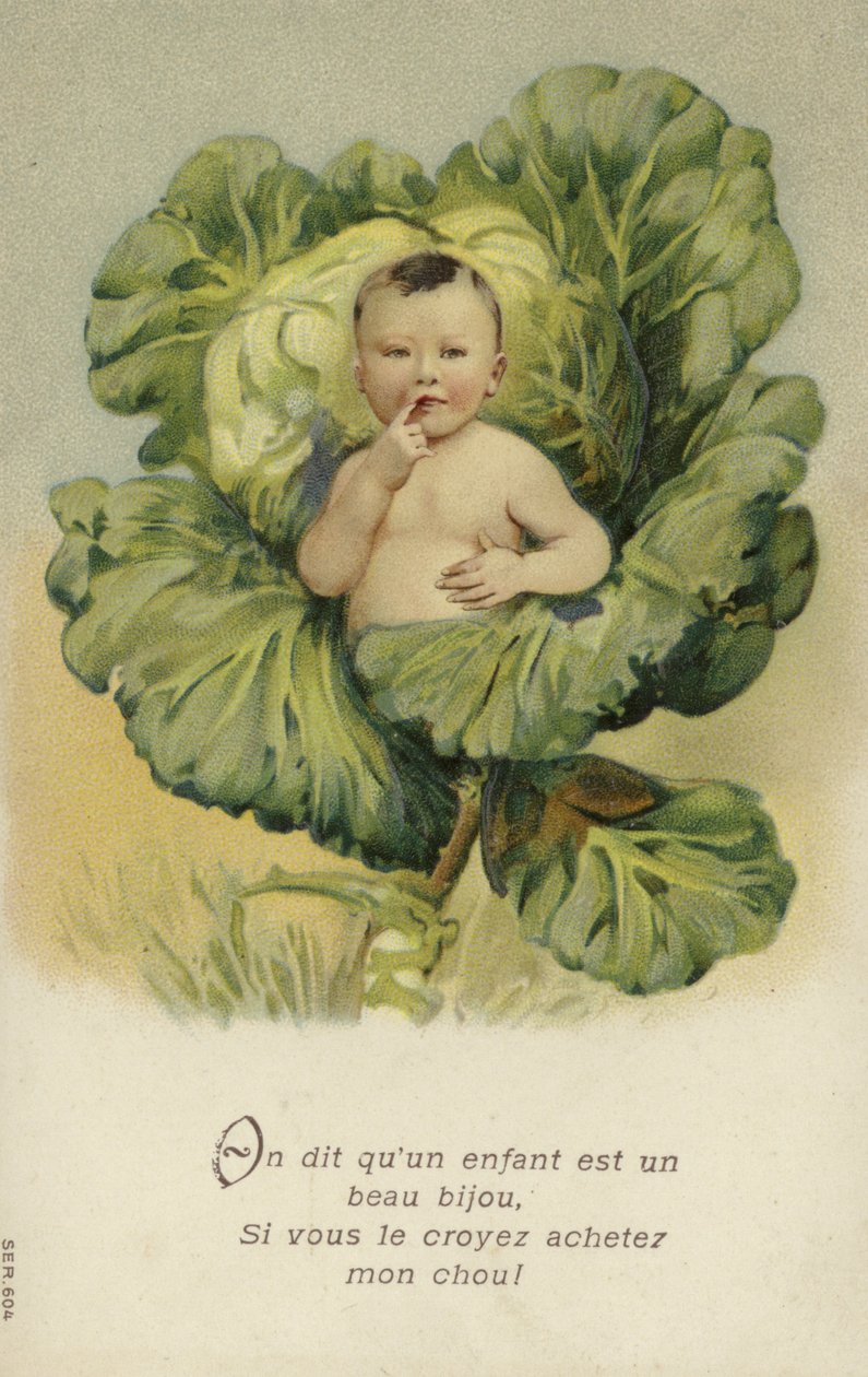Baba a káposztában (chromolitho) alkotó: French School