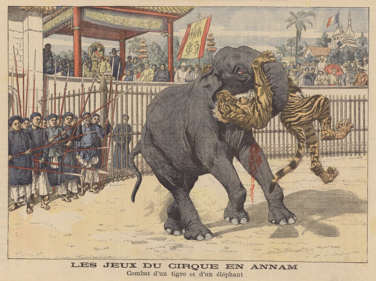 Csata egy elefánt és egy tigris között egy cirkuszban Annamban, Indokínában (színes litográfia) alkotó: French School