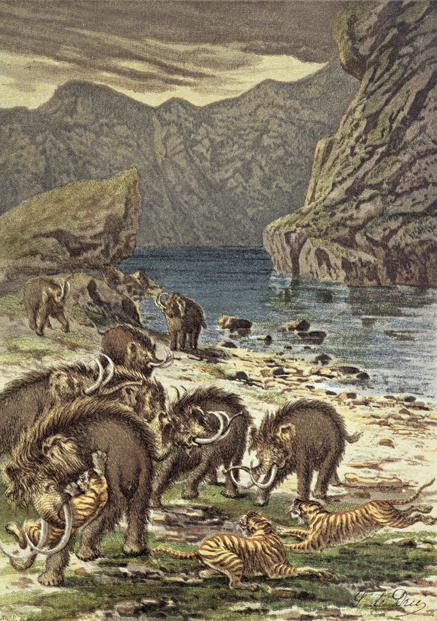 Harc mamutok és kardfogú tigrisek között, Camille Flammarion Le Monde Avant la Creation dHomme című művéből, 1886 alkotó: French School