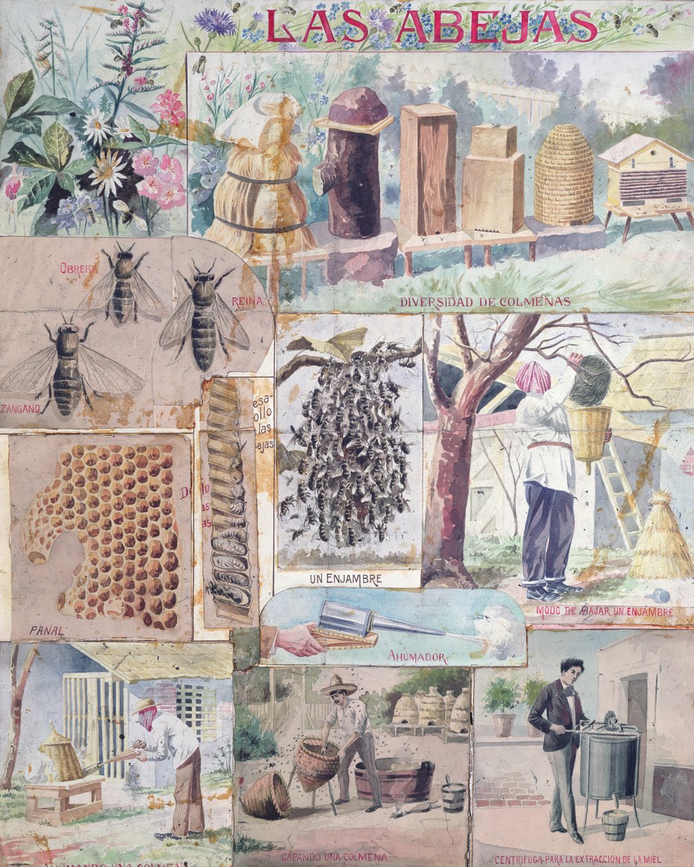 Méhkultúra, Franciaországban készült illusztráció, mexikói kiadásra, c. 1900 alkotó: French School