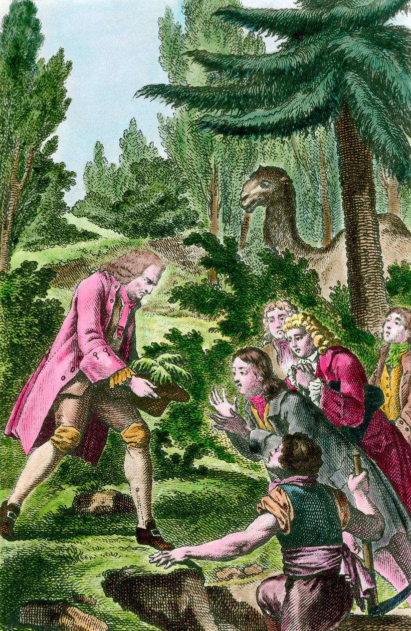 Bernard de Jussieu (1699-1777) libanoni cédrust ültet a párizsi növénykertbe 1734-ben. 18. századi metszet. alkotó: French School