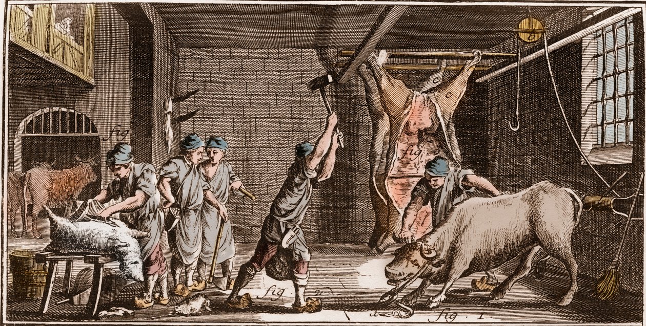 Boucher – Mészáros – Mészáros – „” The Great Encyclopedia, vagy Dictionnaire Raisonne des Sciences, des Arts et des Metiers” (Encyclopedia vagy Dictionary of the Sciences, Arts and Profession) Denis Diderot (1713-1784) és Jean d