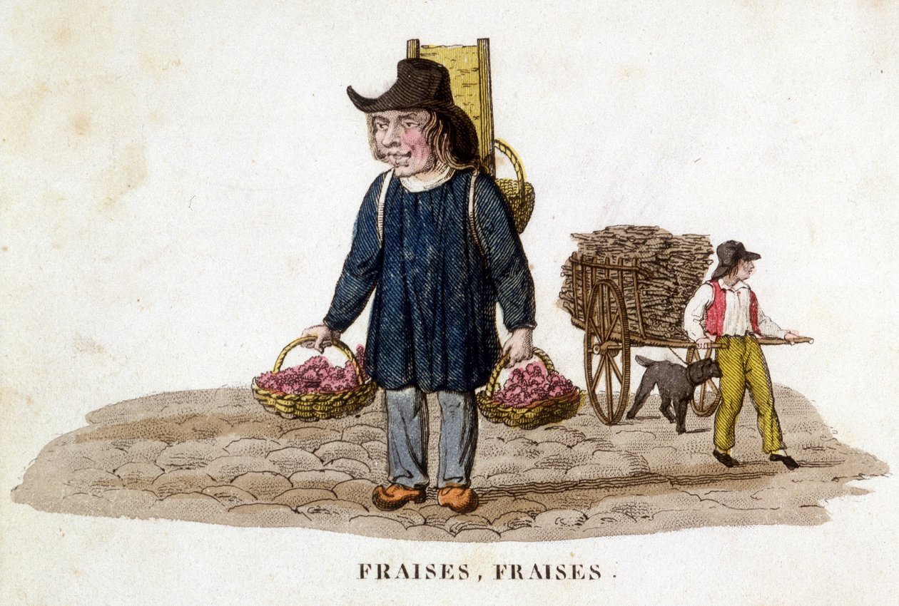 Breton eper eladó - gravírozás, deb. 19. század alkotó: French School