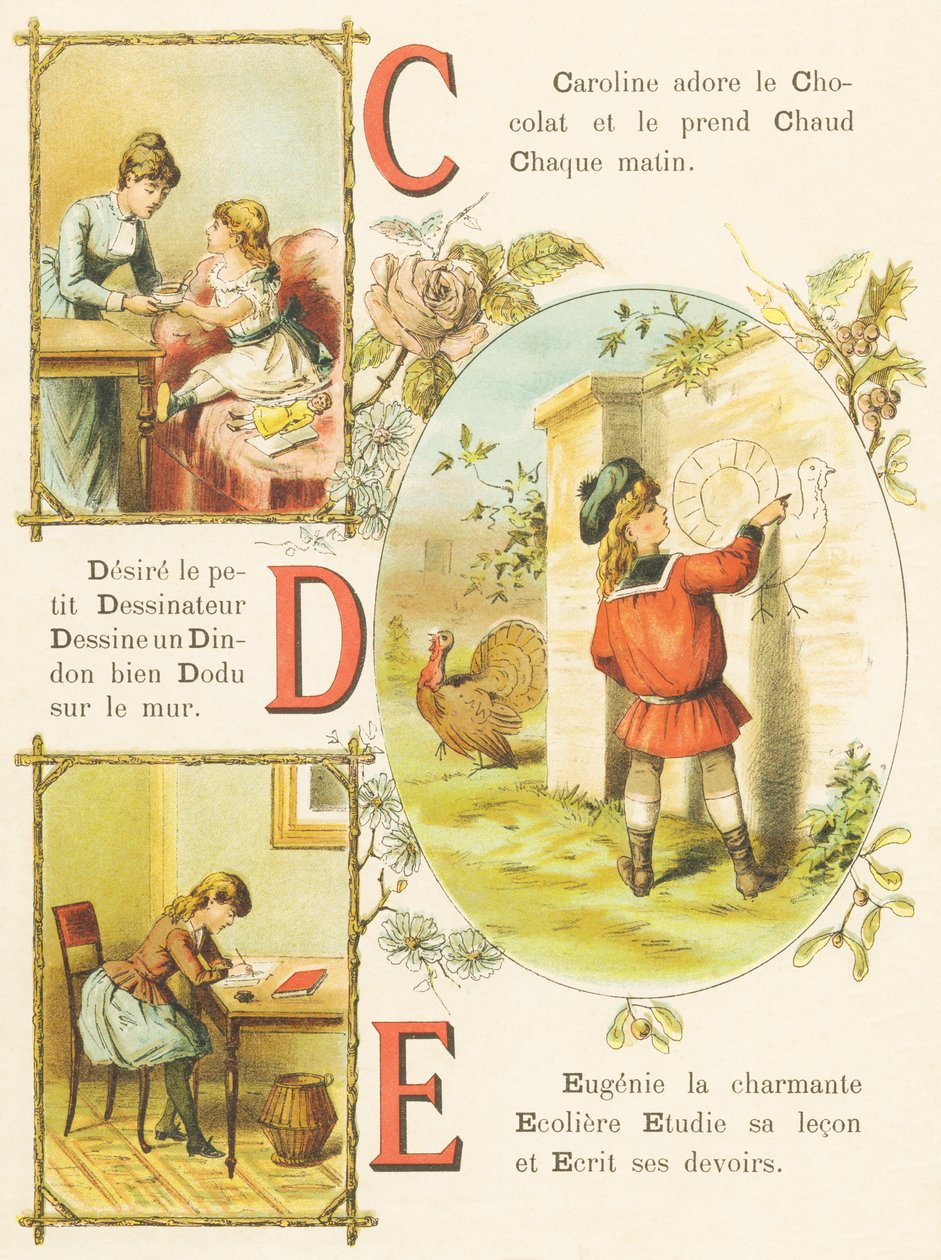 C D E: Csokoládé, Rajzoló, Törökország alkotó: French School